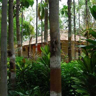 Carisbrook Home Stay, Mysore 4